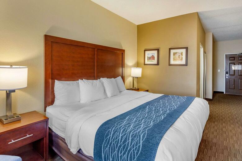 Hotel Comfort Inn - Rockford