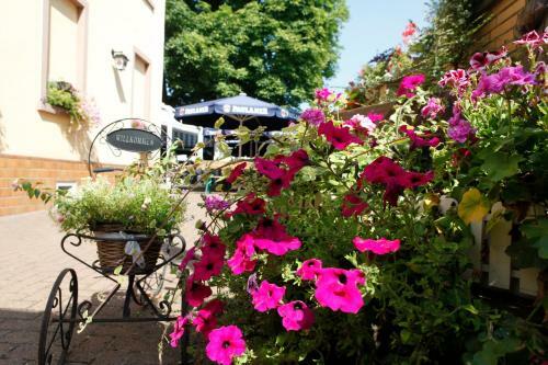 Hotel Zur Waldlust