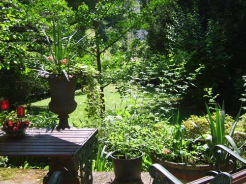 Garden Apartment