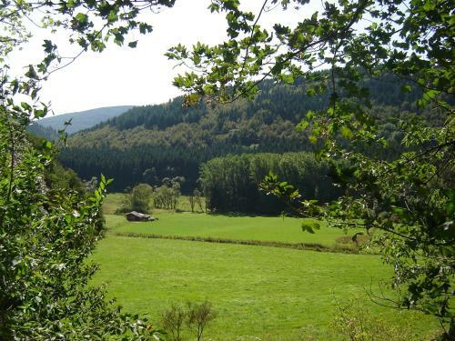 Hotel Winterberg Resort