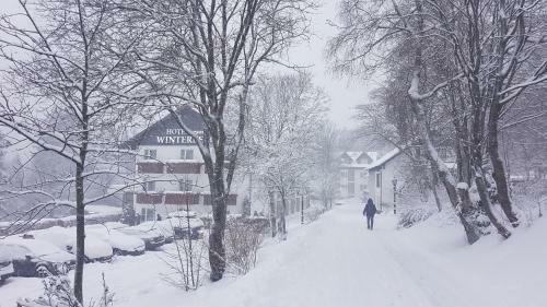 Hotel Winterberg Resort