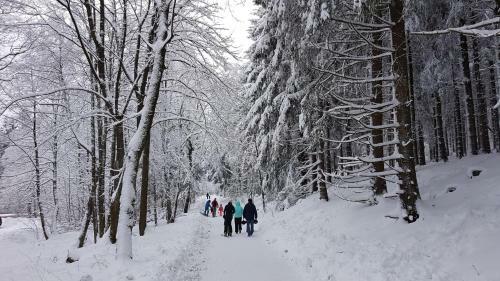 Hotel Winterberg Resort