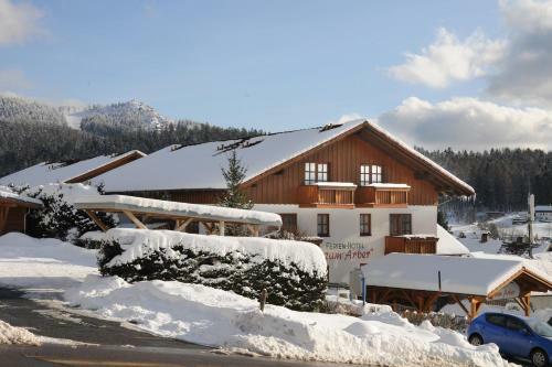 Ferien- Und Aktivhotel Zum Arber