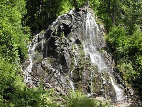 Apartamento Ferienwohnung Waldblick