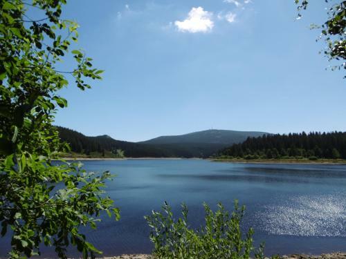 Apartamento Ferienwohnung Waldblick