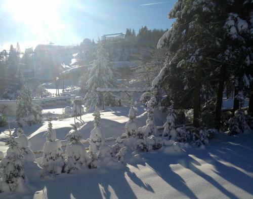 Apartamento Fewo-winterberg