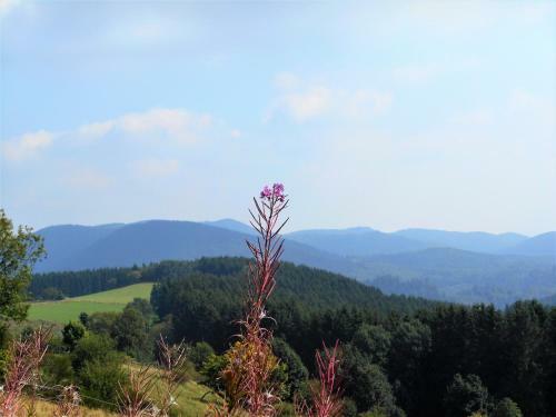 Apartment Blickfang Winterberg
