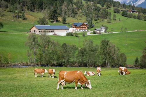 Agroturismo Rojerhof