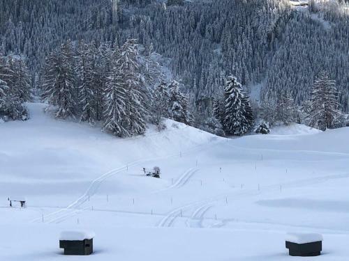 Hotel Apartements Maria-theresia