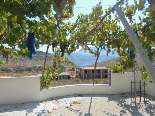 Vila Viktori