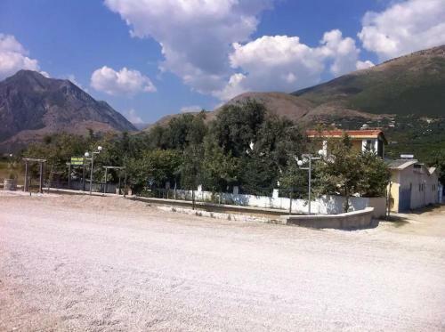 The Olive Grove