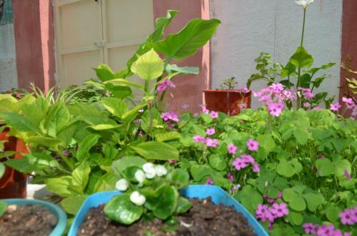 Apartamentos Villa Viktor