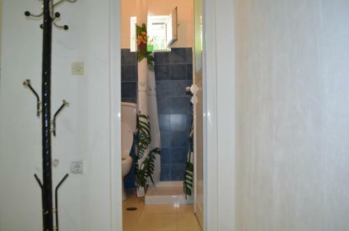 Apartamentos Villa Viktor
