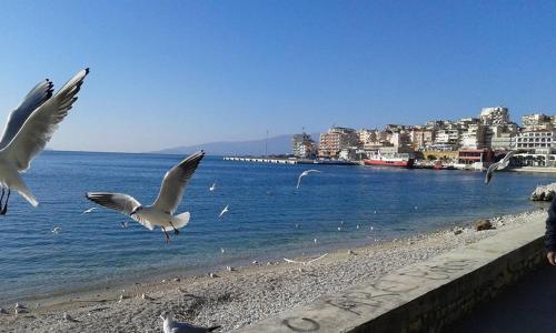 Holiday Apartment On The Sea Shore (12)