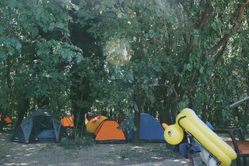 Hostel Legjenda
