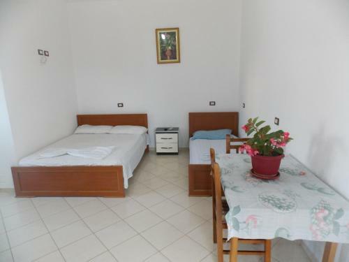 Tradition Apartments