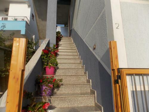 Tradition Apartments