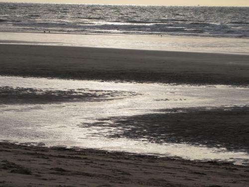 Bed & Breakfast Comfort Aan Zee Guestrooms