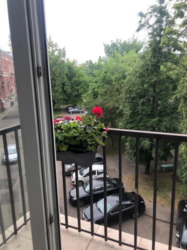Apartamento Mgapartment Kirova 2