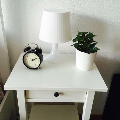 Carpe Diem Apartment