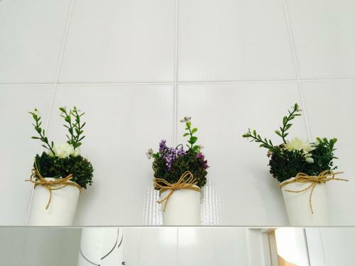Carpe Diem Apartment