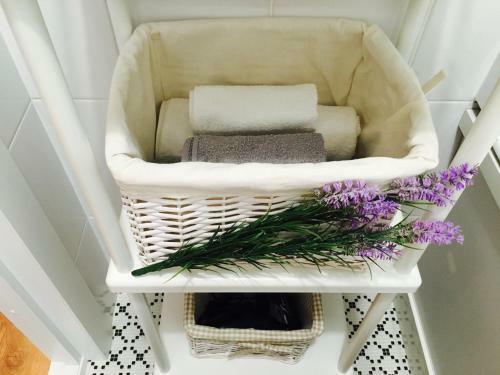 Carpe Diem Apartment