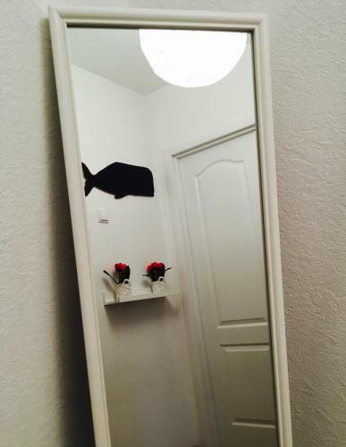 Carpe Diem Apartment