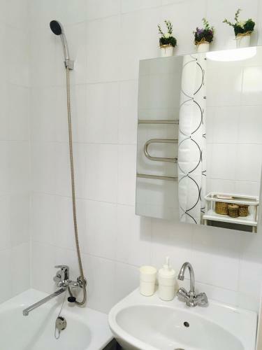 Carpe Diem Apartment