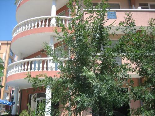 Hostal Guest House Orchidea