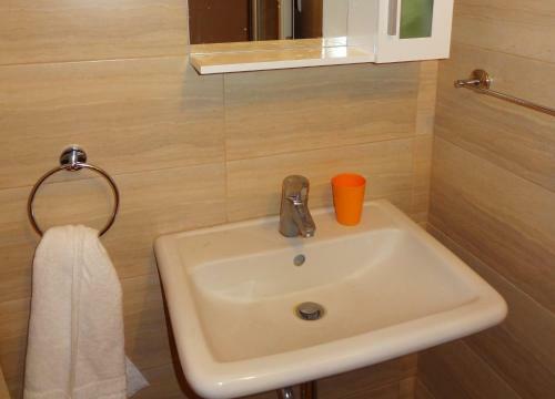 Apartment Botev