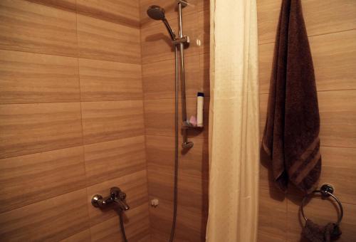 Apartment Botev