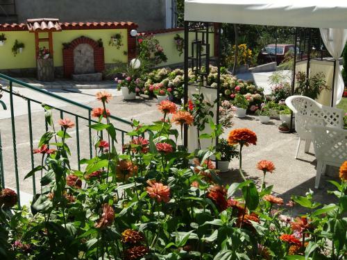 Hostal Guesthouse Kamelia