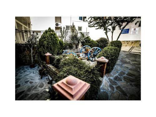 Hotel Kavkaz Golden Dune - All Inclusive
