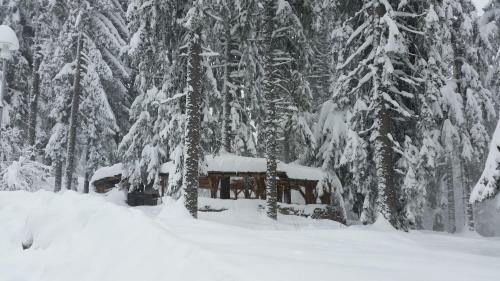 Elina Hotel
