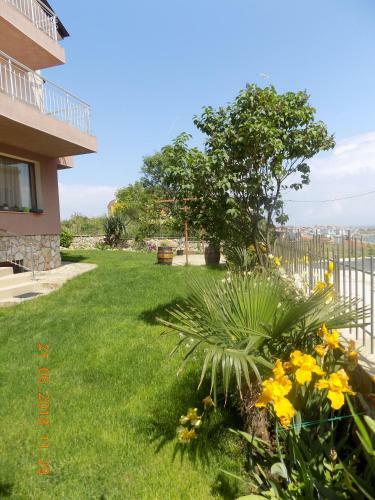 Hostal Zenith Guest House