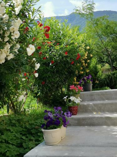 Hostal Guest House Vessyta