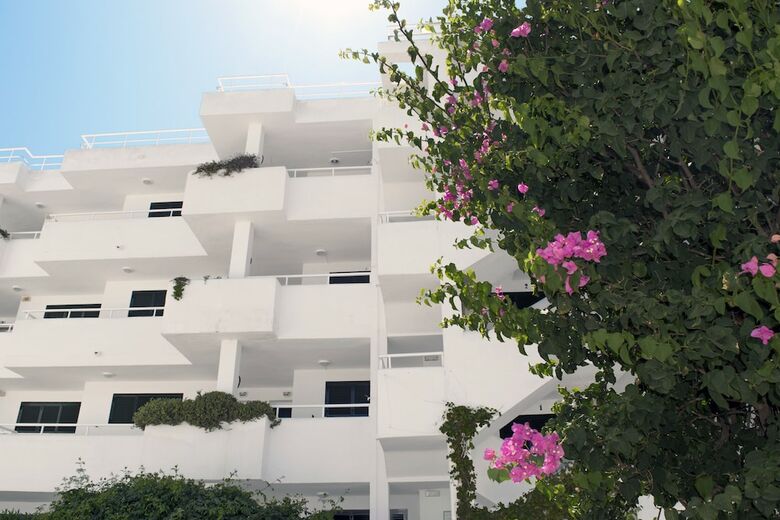 Apartamentos Camelina Suites