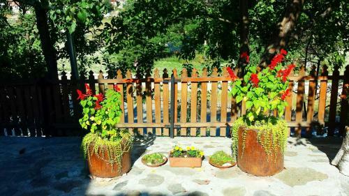 Hostal Mechta Guest House