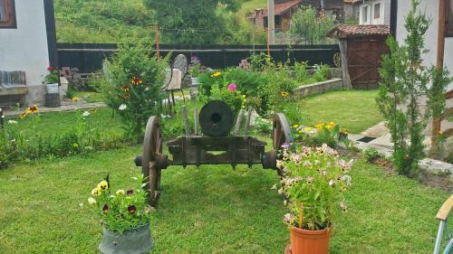 Hostal Mechta Guest House