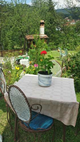 Hostal Mechta Guest House