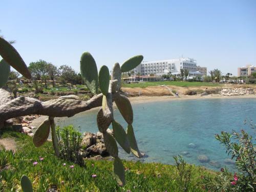 Cyprus Beach Villas