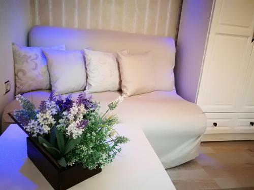 Hostal Zigen House