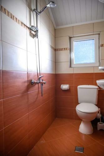 Hostal Guest House Tedi