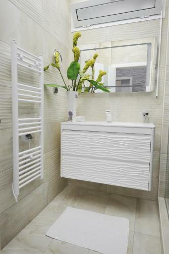 Delfin Apartment