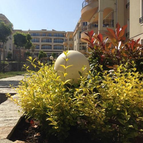 Apartamento Arapya Sun Resort