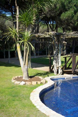 Apartamento Pals Playa