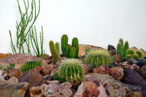 Apartamento La Posidonia