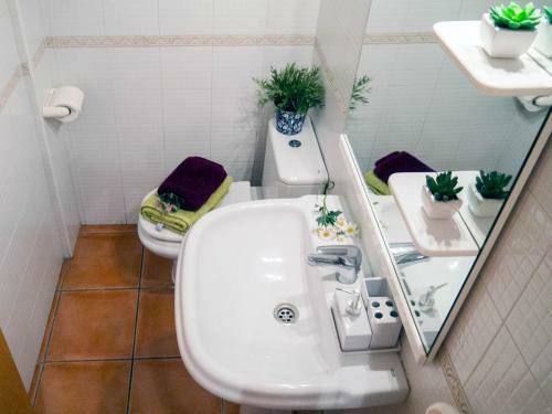 Flowers Apartment