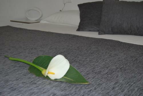 Apartamentos Alborada