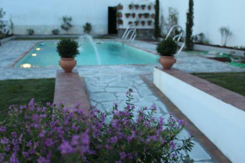 Hotel Entreolivos